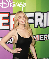 161.jpg