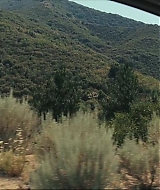 2007-GeorgiaRule-0001.jpg